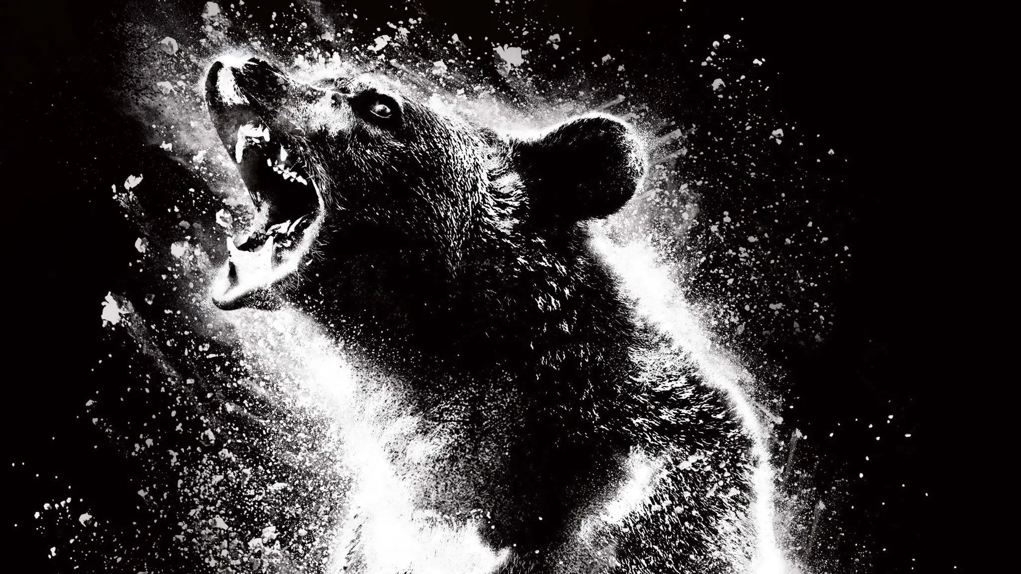 Cocaine Bear backdrop