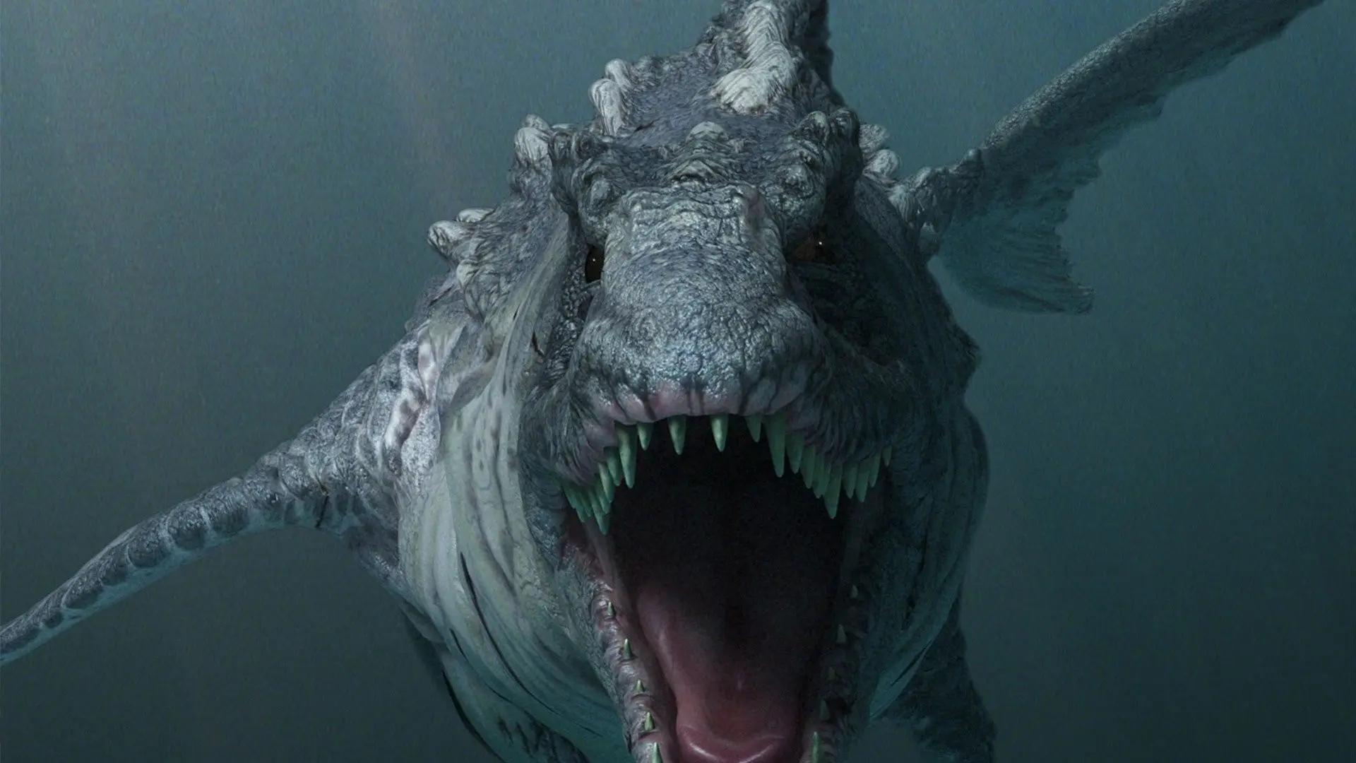 Dinoshark backdrop