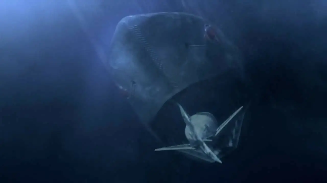 Mega Shark vs. Mecha Shark backdrop