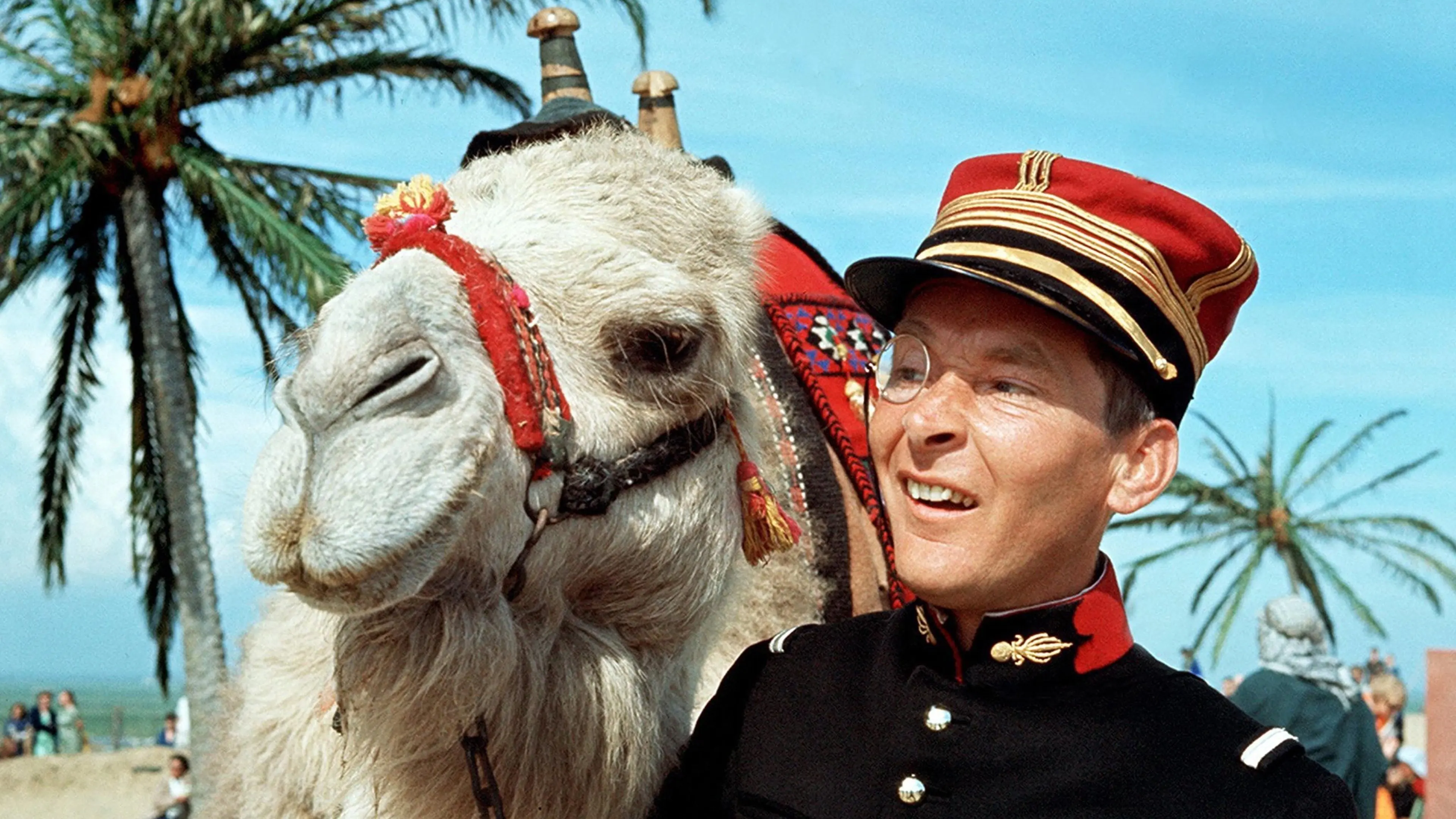 Follow That Camel backdrop