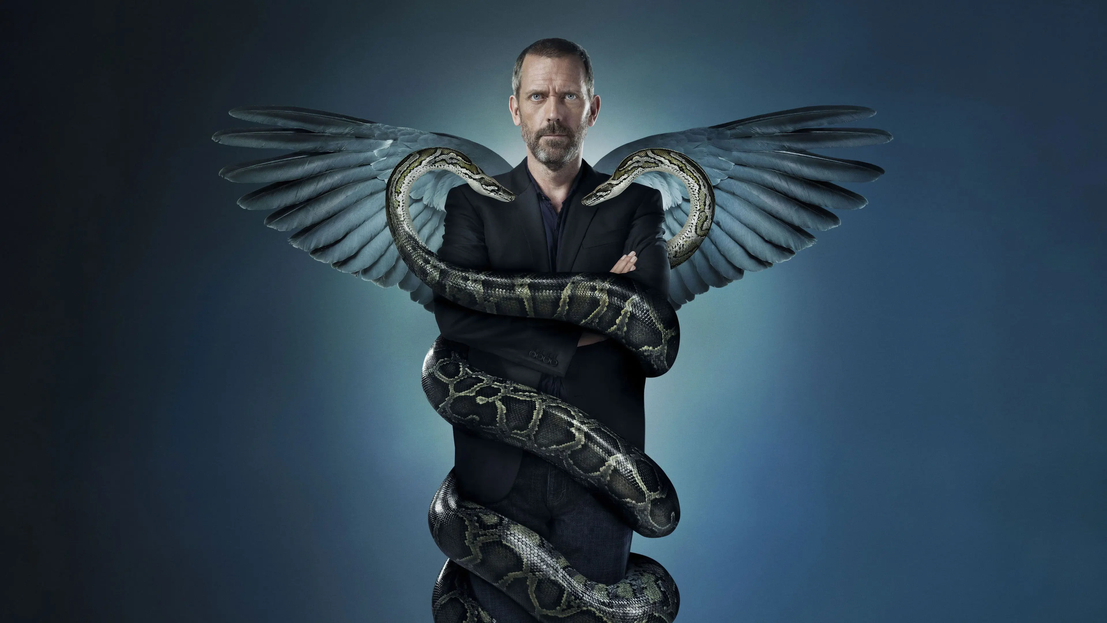 House backdrop